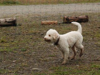 2009-10-03_ntb_9523