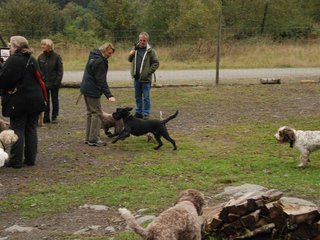 2009-10-03_ntb_9527