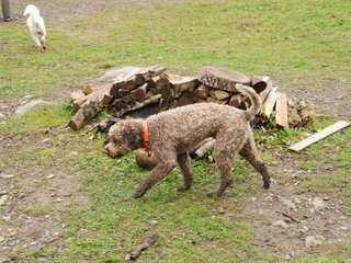2009-10-03_ntb_9528
