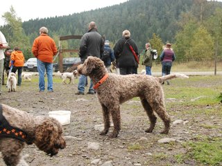 2009-10-03_ntb_9529