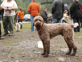 2009-10-03_ntb_9530