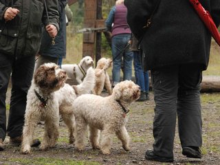 2009-10-03_ntb_9531