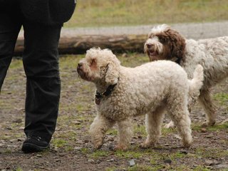 2009-10-03_ntb_9532