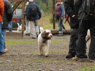 2009-10-03_ntb_9533
