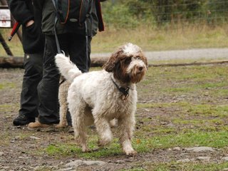 2009-10-03_ntb_9534