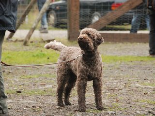 2009-10-03_ntb_9536