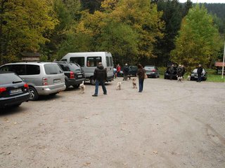 2009-10-03_ntb_9539