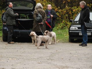 2009-10-03_ntb_9540