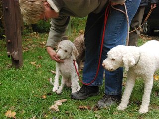 2009-10-03_ntb_9543