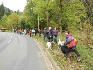 2009-10-03_ntb_9547