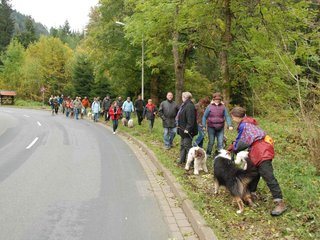 2009-10-03_ntb_9548
