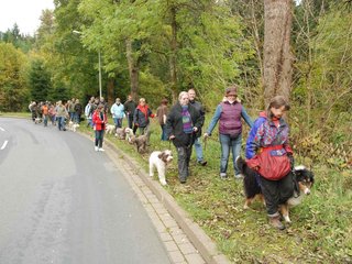 2009-10-03_ntb_9551