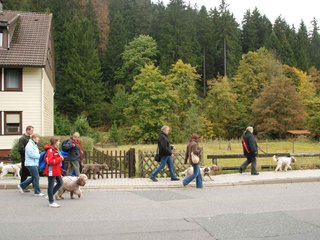 2009-10-03_ntb_9553