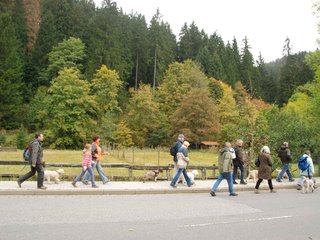 2009-10-03_ntb_9557