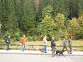 2009-10-03_ntb_9558
