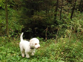 2009-10-03_ntb_9561