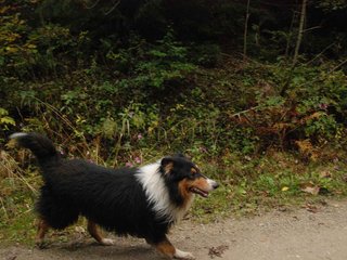 2009-10-03_ntb_9562