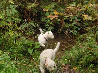 2009-10-03_ntb_9563