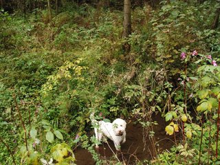 2009-10-03_ntb_9564