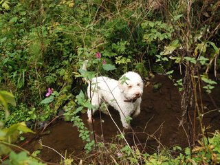 2009-10-03_ntb_9565