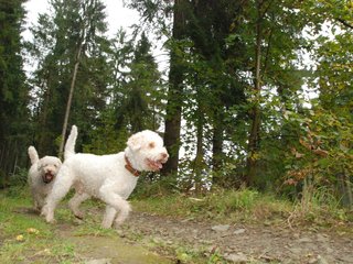 2009-10-03_ntb_9576