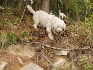 2009-10-03_ntb_9578
