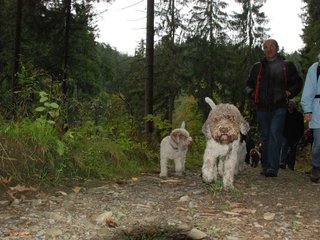 2009-10-03_ntb_9581