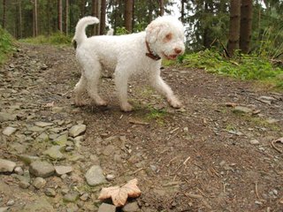2009-10-03_ntb_9583
