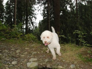 2009-10-03_ntb_9584