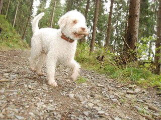 2009-10-03_ntb_9585