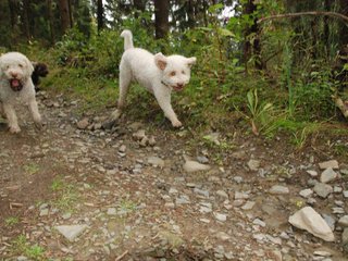 2009-10-03_ntb_9586