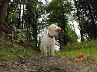 2009-10-03_ntb_9587