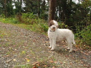2009-10-03_ntb_9589