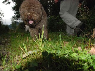 2009-10-03_ntb_9592