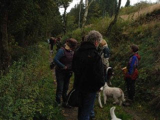 2009-10-03_ntb_9593