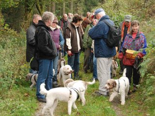 2009-10-03_ntb_9596