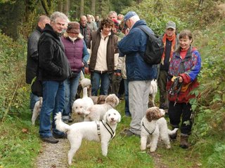 2009-10-03_ntb_9597