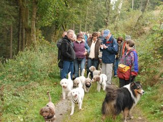 2009-10-03_ntb_9599
