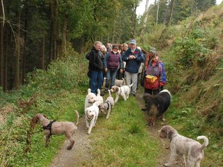 2009-10-03_ntb_9600