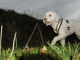 2009-10-03_ntb_9601
