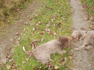 2009-10-03_ntb_9606