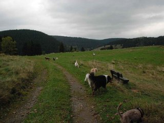 2009-10-03_ntb_9608