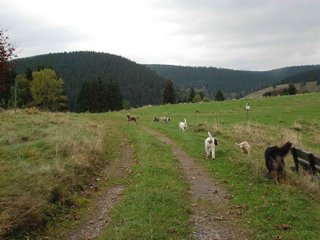2009-10-03_ntb_9609