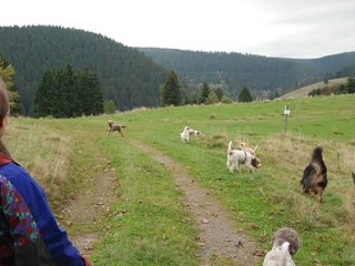 2009-10-03_ntb_9610