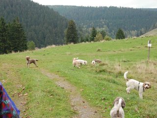 2009-10-03_ntb_9611