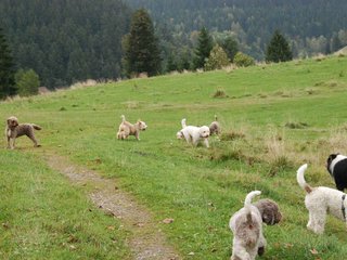 2009-10-03_ntb_9612