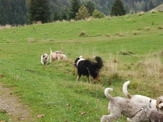 2009-10-03_ntb_9613