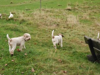 2009-10-03_ntb_9614