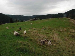 2009-10-03_ntb_9615
