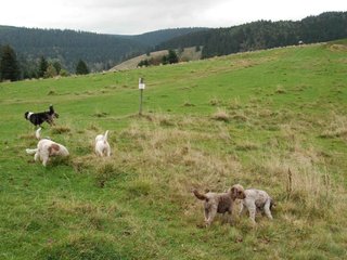 2009-10-03_ntb_9616